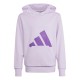 детски,горнища,с,качулка,adidas,j,bl,ft,hd,28,jn99,ice,lavender