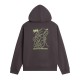 мъжки,горнища,с,качулка,мъжки,ежедневни,облекла,the,north,face,tnf,nse,graphic,oth,sn64,anthricite,grey