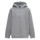 суичър,детски,горнища,с,качулка,детски,облекла,blank,essentials,essentials,core,hoodie,grey,marl
