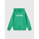 суичър,детски,облекла,tommy,hilfiger,arched,hoodie,green,ly3