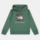 юношески,суичър,детски,горнища,с,качулка,the,north,face,redbox,hoodie,juniors,green