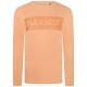 юношеска,тениска,детски,облекла,lyle,and,scott,logo,long,sleeve,t,shirt,juniors,coral,orange