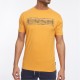 crosshatch,goldsbury,t,sn99,yellow