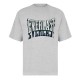 мъжки,тениски,everlast,choice,of,champions,tee,grey,marl