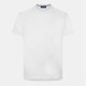 облекла,на,разпродажба,мъжки,тениски,paul,and,shark,shark,tag,tee,white