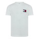 тениска,мъжки,тениски,tommy,jeans,tjm,reg,heritage,flag,tee,ext,ecru