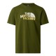 мъжка,тениска,мъжки,тениски,the,north,face,tnf,mountain,tee,mens,woodland,green