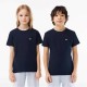 юношеска,тениска,детски,облекла,lacoste,lacoste,basic,logo,t,shirt,juniors,navy,166
