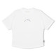 palm,angels,palm,arch,lgo,te,jn63,coconut,412