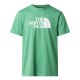 мъжка,тениска,мъжки,тениски,the,north,face,regular,fit,short,sleeve,t,shirt,mens,dimmed,algae