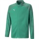 детско,яке,дрехи,за,училище,разпродажба,puma,детски,якета,и,палта,всички,фитнес,облекла,puma,teamcup,training,jacket,jr,unisex,kids,pepper,green