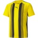 детска,тениска,детски,тениски,футбол,футболни,горнища,puma,teamliga,striped,jersey,jr,t,shirt,unisex,kids,cyberyellow,blk