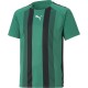 детска,тениска,детски,тениски,футбол,футболни,горнища,puma,teamliga,striped,jersey,jr,t,shirt,unisex,kids,pgreen,blk,wht