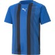 детска,тениска,детски,тениски,футболни,горнища,puma,teamliga,striped,jersey,jr,t,shirt,unisex,kids,eblulem,blk,wht
