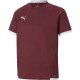 фланелка,детски,тениски,футбол,футболни,горнища,puma,teamliga,jersey,jr,cordovan,white