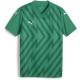 детска,тениска,детски,тениски,футбол,футболни,горнища,puma,teamglory,jersey,jr,t,shirt,unisex,kids,sgrn,wht,pgrn