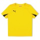 юношеска,тениска,разпродажба,puma,детски,3/4,панталони,детски,тениски,лека,атлетика,всички,фитнес,облекла,puma,(f12),team,s,s,tee,juniors,yellow