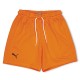 юношески,къси,панталони,детски,къси,панталони,puma,kids,hoops,team,junior,practice,basketball,shorts,golden,poppy