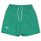 юношески,къси,панталони,детски,къси,панталони,puma,kids,hoops,team,junior,practice,basketball,shorts,pepper,green