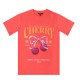 тениска,дамски,топове,biba,biba,graphic,tee,ld53,cherry