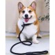 за,домашни,любимци,аксесоари,на,разпродажба,waggy,tails,slp,on,lead,30kg,52,black