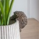 gallery,edwin,hedgehog,pot,hanger,brown,(2pk),natural