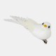 коледни,опаковки,и,декорации,the,spirit,of,christmas,6pk,tree,decs,54,white,birds,one,size,white,birds