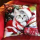alan,symonds,cat,velvet,christmas,cushion,multicolour