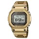 g,shock,gmw,watch,sn71,gold