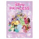 character,kids,advent,calendar,princess