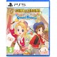 u,and,i,entertainment,story,of,seasons,grand,bazaar,ps5