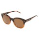 слънчеви,очила,дамски,слънчеви,очила,разпродажба,calvin,klein,calvin,klein,ck4354,sunglasses,havana,brown