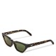 off,white,madison,sun,sunglasses,havana,green