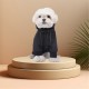 за,домашни,любимци,аксесоари,на,разпродажба,waggy,tails,rain,coat,black