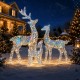 the,spirit,of,christmas,holographic,reindeer,family,gold,holo
