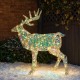the,spirit,of,christmas,holographic,led,stag,gold,holo