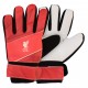 вратарски,ръкавици,футбол,team,fuse,goalkeeper,gloves,liverpool