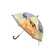 pokemon,umbrella,jn64,multi