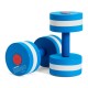 speedo,dumbbells,63,speedo,blue