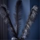 аксесоари,на,разпродажба,biba,biba,faux,pampas,stems,set,of,6,black