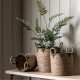 gallery,elgon,baskets,natural,&,green,(set,of,3),natural,&,green