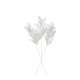 аксесоари,на,разпродажба,gallery,pampas,flck5pk,99,white