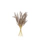 аксесоари,на,разпродажба,gallery,dry,fth,bndlx9,99,brown