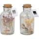 домашни,потреби,аксесоари,на,разпродажба,arti,casa,glass,vase,dried,flowers,multi