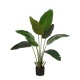 градина,/,на,открито,аксесоари,на,разпродажба,mica,banana,tree,in,pot,green,green