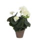 градина,/,на,открито,аксесоари,на,разпродажба,mica,geranium,in,pot,stan,grey,cream