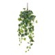градина,/,на,открито,аксесоари,на,разпродажба,mica,ivy,hanging,green,variegated,green