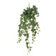 градина,/,на,открито,аксесоари,на,разпродажба,mica,ivy,hanging,green