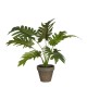 градина,/,на,открито,аксесоари,на,разпродажба,mica,philodendron,green,in,pot,stan,grey,green