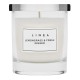 всички,коледни,подаръци,linea,glass,candle,lemongrass,&,fresh,ginger